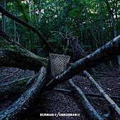 「「望んでない世界」ジャケット」5枚目/6