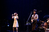 「Penthouse、即日ソールドアウトした初のビルボードライブ東京ワンマン公演をレポート」1枚目/10