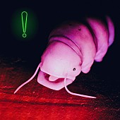 「Dos Monosの新曲「OCCUPIED!」配信リリース＆「medieval」のMV公開」1枚目/4