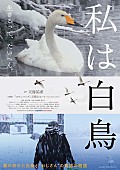 「石崎ひゅーいの新曲「スワンソング」がドキュメンタリー映画『私は白鳥』の主題歌に」1枚目/2