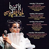 「＜10/13訂正＞ビョーク、ミュージシャン100名を引き連れるチャリティコンサート【Bjork Orkestral】生配信」1枚目/12