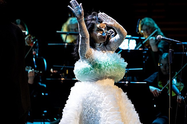 「photo by Santiago Felipe」8枚目/12