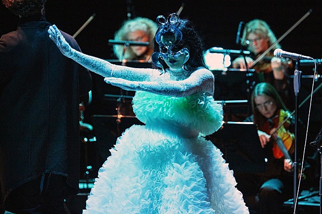 「photo by Santiago Felipe」9枚目/12