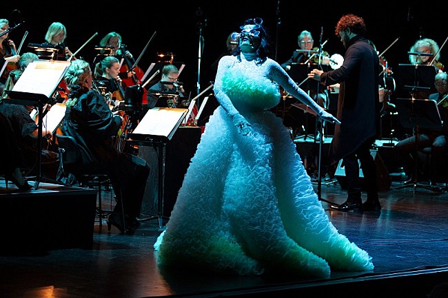 「photo by Santiago Felipe」10枚目/12