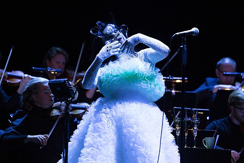 「photo by Santiago Felipe」3枚目/12