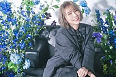 「藍井エイル、アニメ『コードギアス』新OP曲を担当　新アー写＆10周年特設サイトも公開」1枚目/2