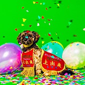 「tricot、1年2ヶ月ぶりフルAL『上出来』ジャケ写公開」1枚目/3