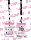 「「SILENT SIREN きららリベンジ～サイサイ10歳祭～ レプリカスタッフパス（バンド名入りネックストラップ付）」」6枚目/6