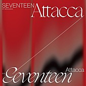 SEVENTEEN「【ビルボード】SEVENTEEN『Attacca』188,137枚を売り上げてALセールス首位」1枚目/1