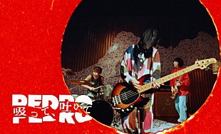 「PEDRO、新曲「吸って、吐いて」MV公開　アルバム1～5曲目をまとめた「side A」配信」