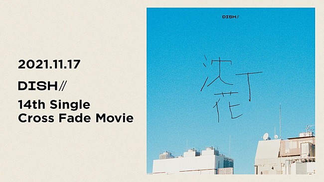 「DISH//、新SG『沈丁花』収録曲クロスフェード映像公開」1枚目/3