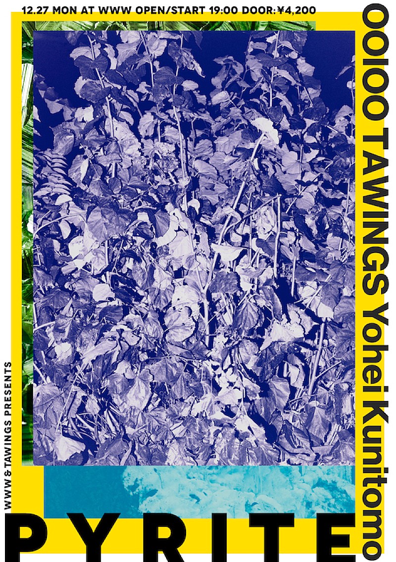 「WWWとTAWINGSが贈る新イベント【Pyrite】12月開催、OOIOO&Yohei Kunitomo出演」1枚目/4