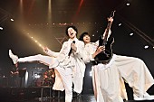 「fuzzy knot、1stライブで「ここからどんどん進んで行きたい」　2022年のニューシングルやライブも決定」1枚目/9