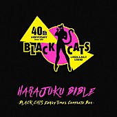 「生産限定BOX『HARAJUKU BIBLE　～BLACK CATS Early Times Complete Box～』」2枚目/8
