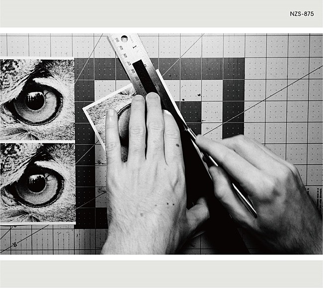 「アルバム『アダプト』NF member -Limited Edition- （完全生産限定商品）」3枚目/5