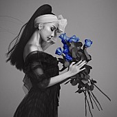 「中島美嘉、カバーアルバムのダイジェスト映像公開＆「不協和音」先行配信」1枚目/4