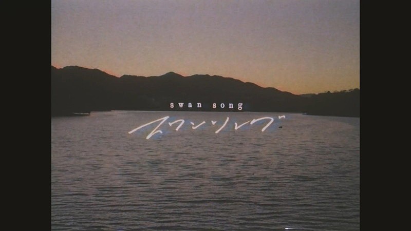 「石崎ひゅーい - スワンソング / Lyric Video」4枚目/4