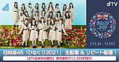 「日向坂46、クリスマス公演【ひなくり2021】dTV生配信決定」1枚目/1
