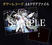 「タワーレコード：A4クリアファイル」8枚目/18