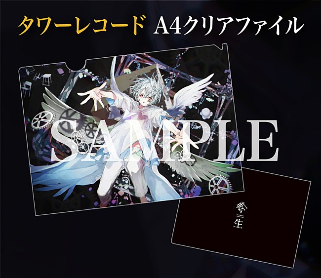 「タワーレコード：A4クリアファイル」8枚目/18