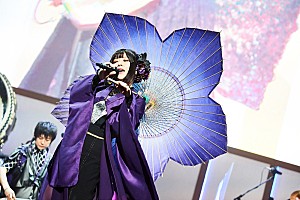 和楽器 Rose&Cat 和楽器 Rose&Cat Amazon | 山本竹細工屋 （YAMAMOTOTAKIZAYIKUYA