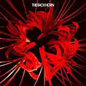 「配信シングル「ヒガンバナ」」3枚目/3