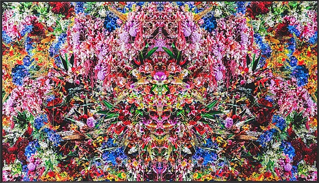 「world’s end girlfriend、ビジュアル作品「Reincarnation No.9」限定リリース」1枚目/10