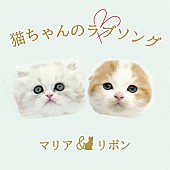 「2匹の猫ユニットが「猫ちゃんのラブソング」配信リリース、2022年2月22日“スーパー猫の日”にMV公開」1枚目/2
