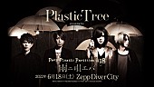 Ｐｌａｓｔｉｃ　Ｔｒｅｅ「【Plastic Tree streaming live 「Peep Plastic Partition #18 雨ニ唄エバ」】」2枚目/2