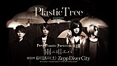 「【Plastic Tree streaming live 「Peep Plastic Partition #18 雨ニ唄エバ」】」2枚目/2