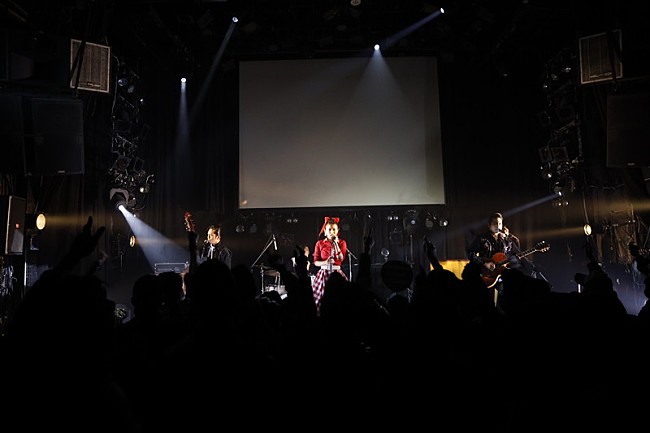 「The Biscats」5枚目/20