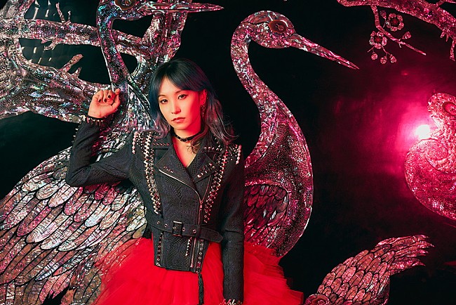 「LiSAのインタビューと連載を1冊にまとめた『10th Anniversary Complete Book LiS“A”ni！』3/30に発売決定」1枚目/2