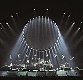 「ピンク・フロイド、『驚異』再発盤より「コンフォタブリー・ナム」新旧比較映像が解禁」1枚目/1