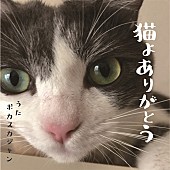 「ポカスカジャンが歌う「猫よありがとう」、2022年2月22日“スーパー猫の日”に配信リリース」1枚目/2
