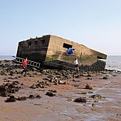 「キャロライン、待望のデビュー作から「Dark blue」のアルバムver.解禁」1枚目/1