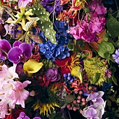 「配信シングル「シシリエンヌ」」4枚目/4