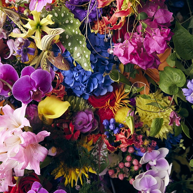 「配信シングル「シシリエンヌ」」4枚目/4