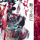 「配信シングル「パッと咲いて散って灰に」」2枚目/2