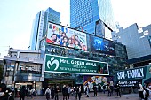 「	Mrs. GREEN APPLE 渋谷駅前大型看板」2枚目/7