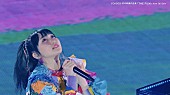「YOASOBI、日本武道館公演より「ツバメ」ライブ映像公開　60秒スペシャルTVCMの放映決定」1枚目/3