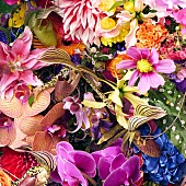 「配信シングル「Vocalise」」2枚目/4