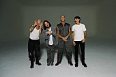 「レッド・ホット・チリ・ペッパーズ、バラード曲「ノット・ジ・ワン」を先行配信」1枚目/1