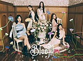 Ｒｅｄ　Ｖｅｌｖｅｔ「Red Velvet、AL『Bloom』リード曲「WILDSIDE」音源＆MV公開」1枚目/1