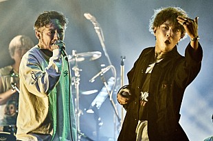 「ASH DA HERO vs The BONEZ、“GACHINKO”ライブのレポートが到着」