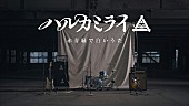 「ハルカミライ、AL『ニューマニア』より「赤青緑で白いうた」MV公開」1枚目/2