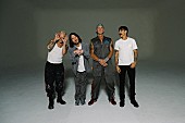 「レッド・ホット・チリ・ペッパーズ、新曲「ジーズ・アー・ザ・ウェイズ」の疾走感溢れるMV公開」1枚目/1