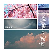 「Photo by 奏葉」3枚目/3