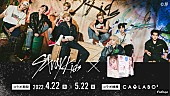 Stray Kids「Stray Kids×プリ機『CAOLABO2』がコラボ、2ショット風フレームなど登場」1枚目/5