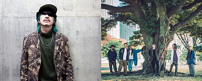 「LOW IQ 01 &amp; New Acoustic Blenders［from OAU］が東阪Billboard Liveに登場」1枚目/3