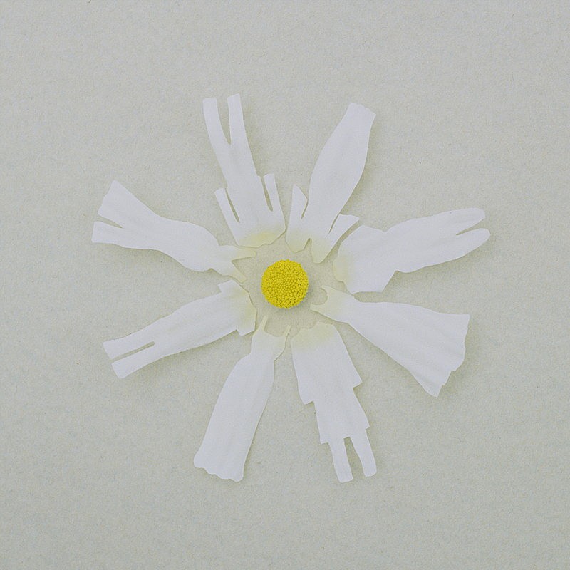 「シングル「恋だろ」」4枚目/5